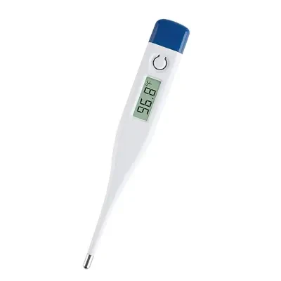 Electronic thermometer