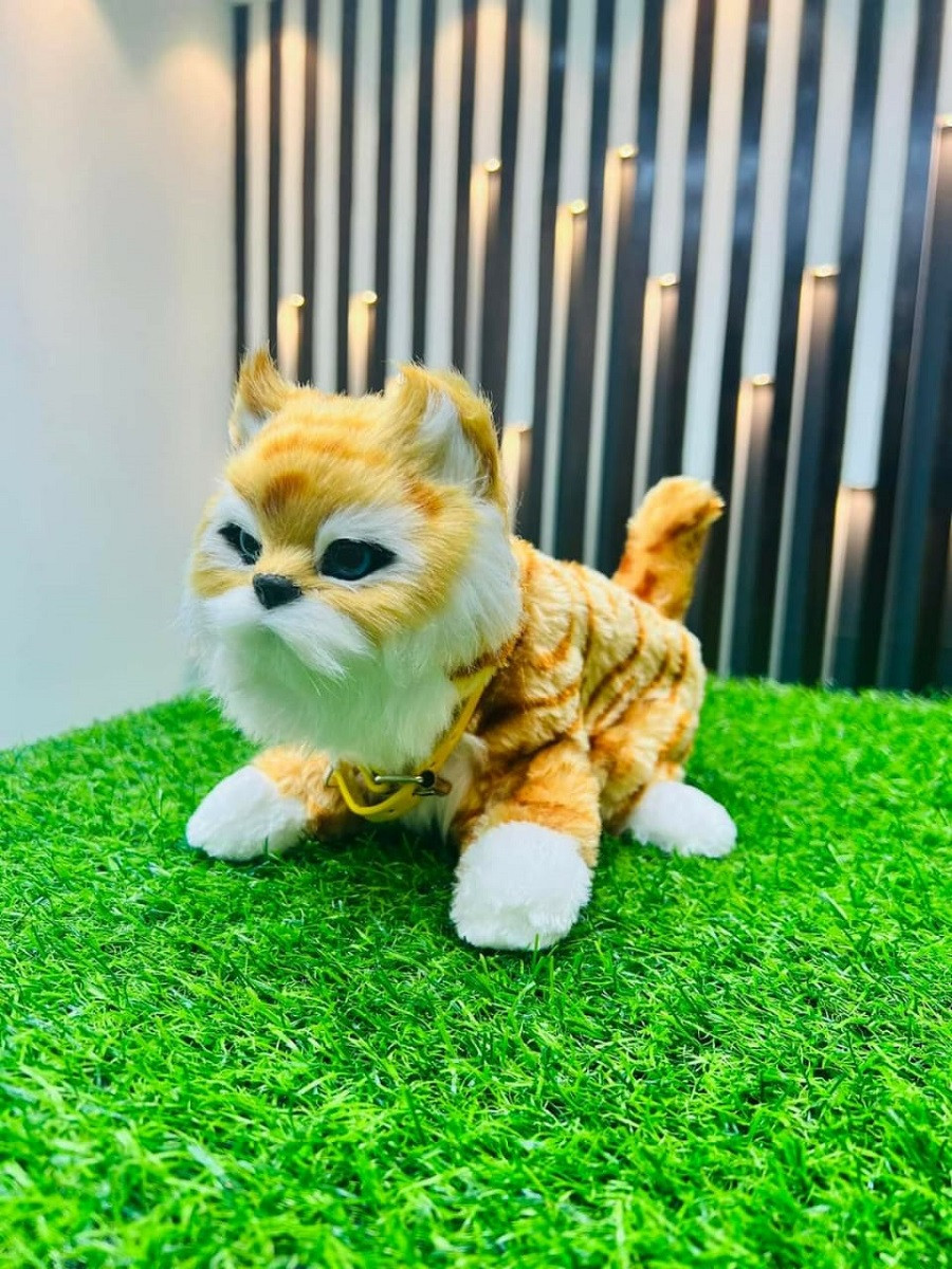Sensor System China Cat Doll Product Code: 3522