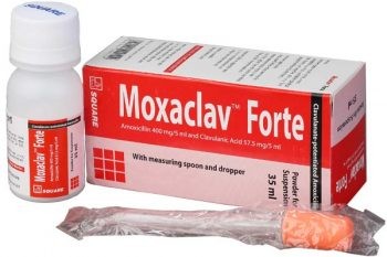 MOXACLAV® FORTE PFS 50ML – 1 PCS